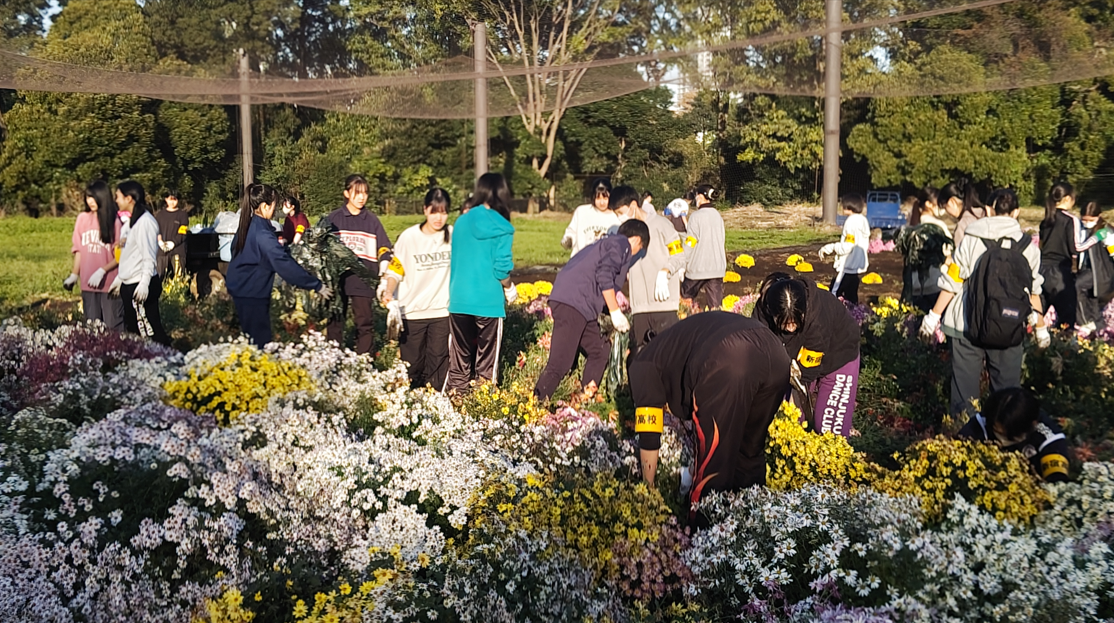 画像3 (2)
